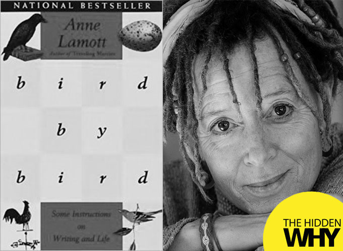 Read more about the article 013: Book Reflections: Bird-by-Bird: Some Instructions on Writing and Life by Anne Lamott