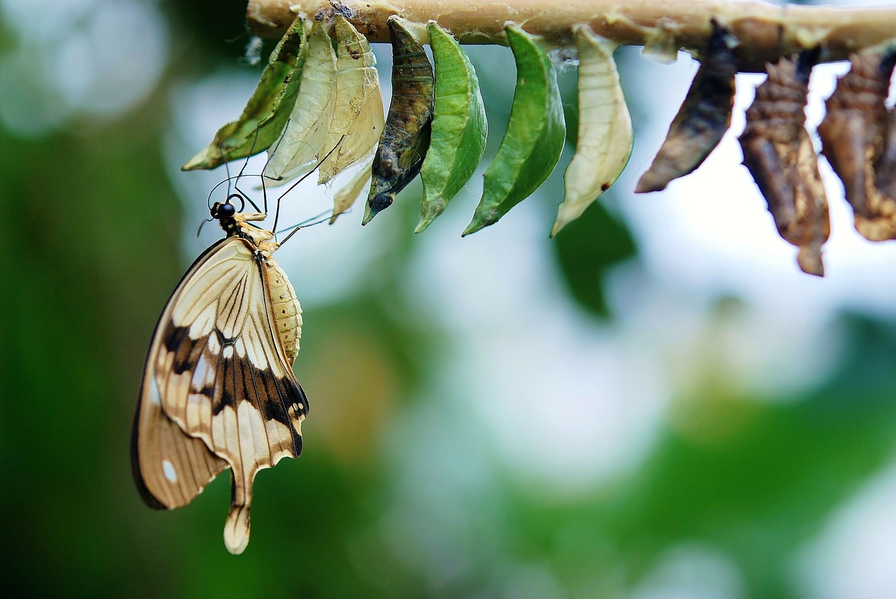 Read more about the article 037: Leigh Martinuzzi| 3 Minute Thought: Personal Transformation-Get ready to turn yourself out!