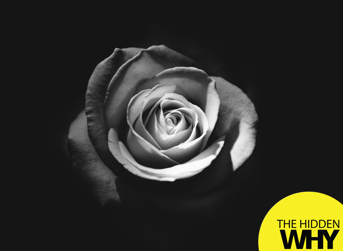 Read more about the article 731 Our Greatest Joy is in Our Sorrow Unmasked by Leigh Martinuzzi