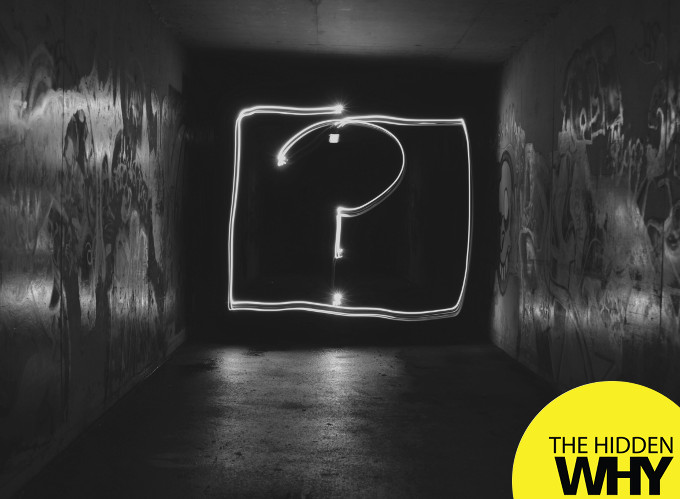 Read more about the article 750 Stay Curious & Question Everything
