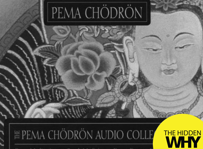 Read more about the article 824 Book Reflection – The Pema Chodron Audio Collection